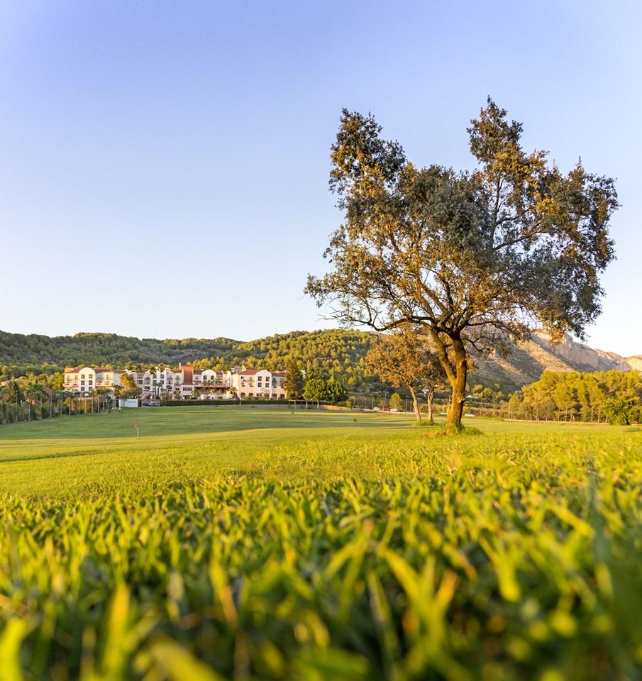 Villa for Sale in Denia