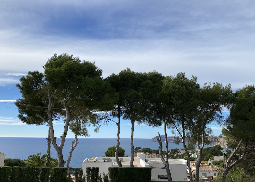 Villa sur Vente sur Javea