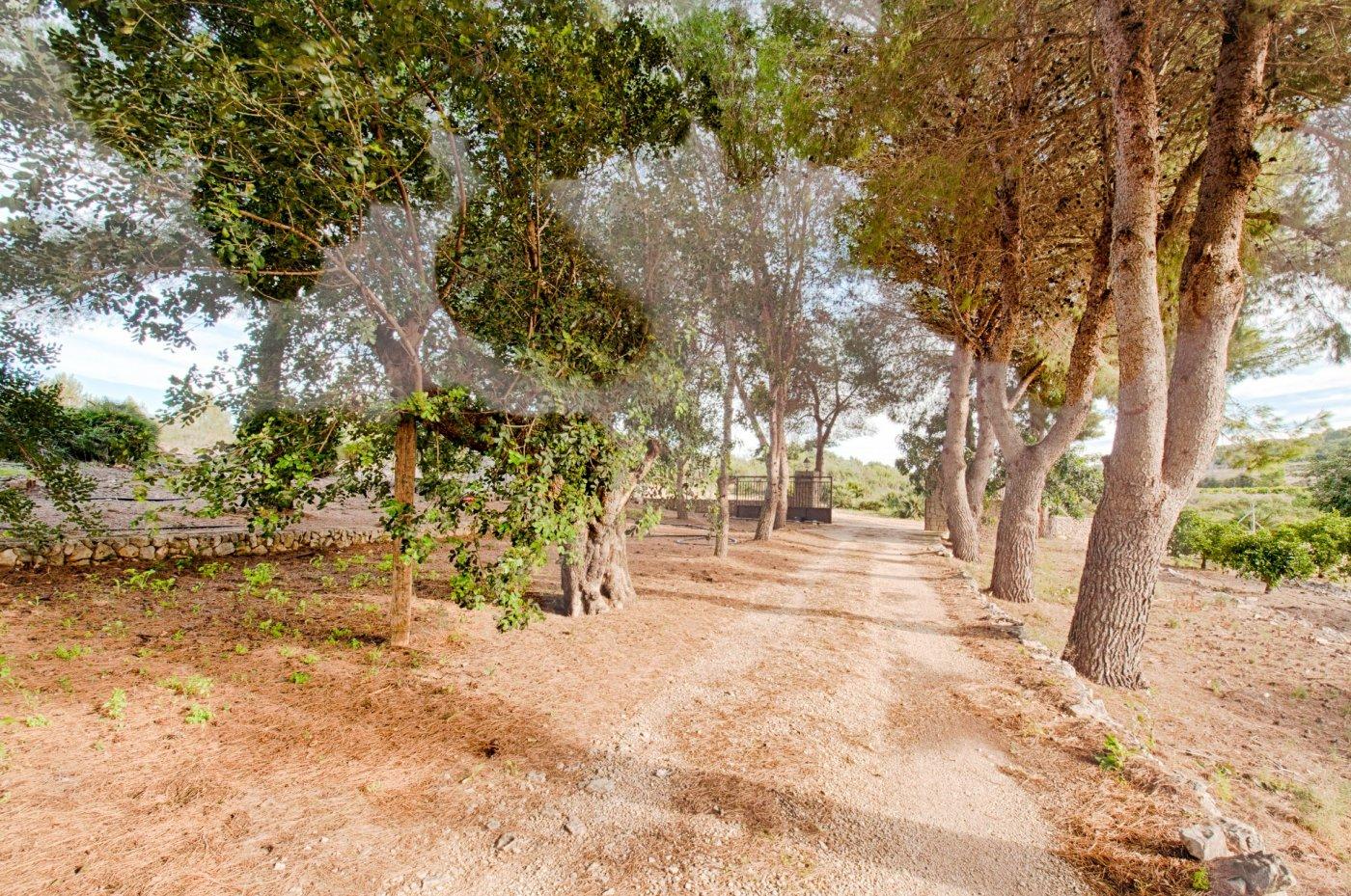 Finca for Sale in Gata de Gorgos