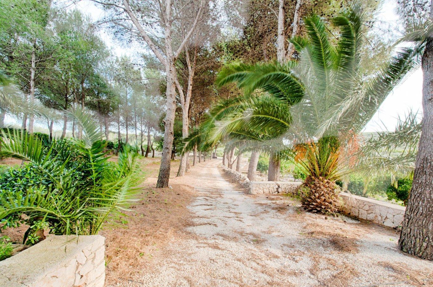 Finca for Sale in Gata de Gorgos