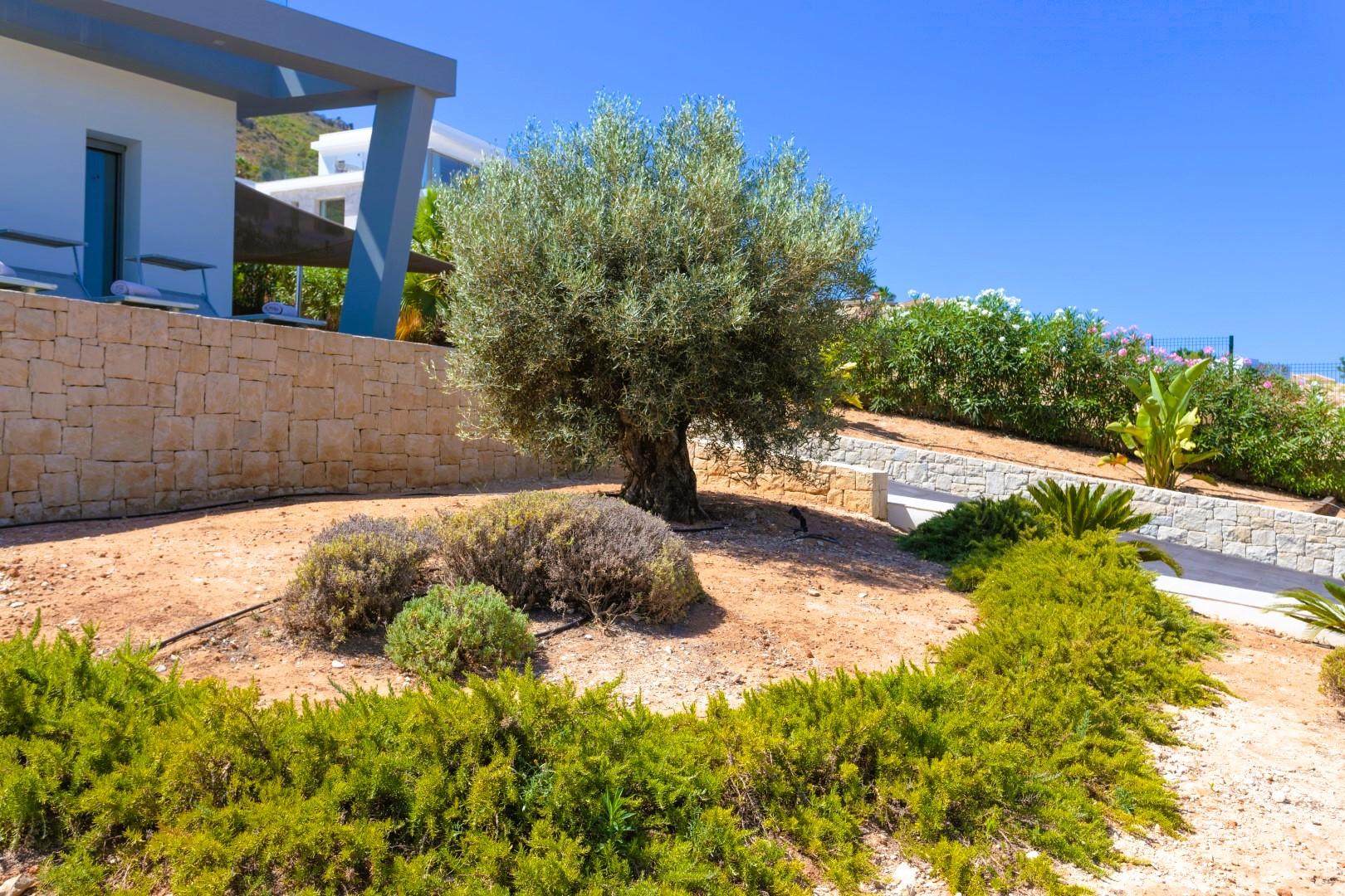 Villa for Sale in Javea